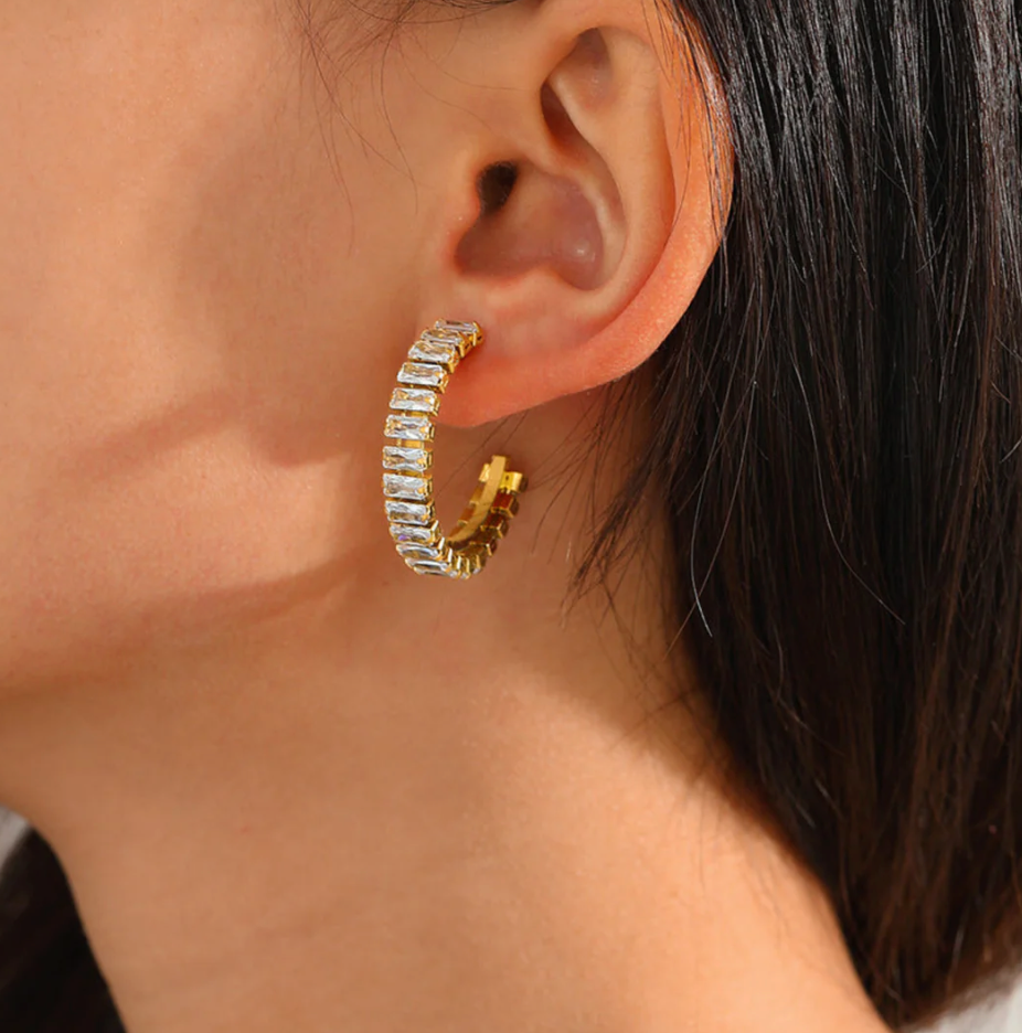 Earrings TASARA